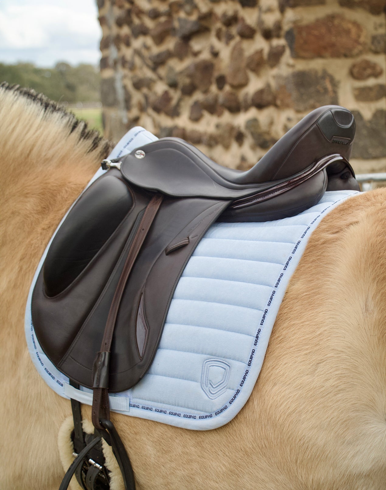 Corduroy Dressage Saddle Pad - Baby Blue