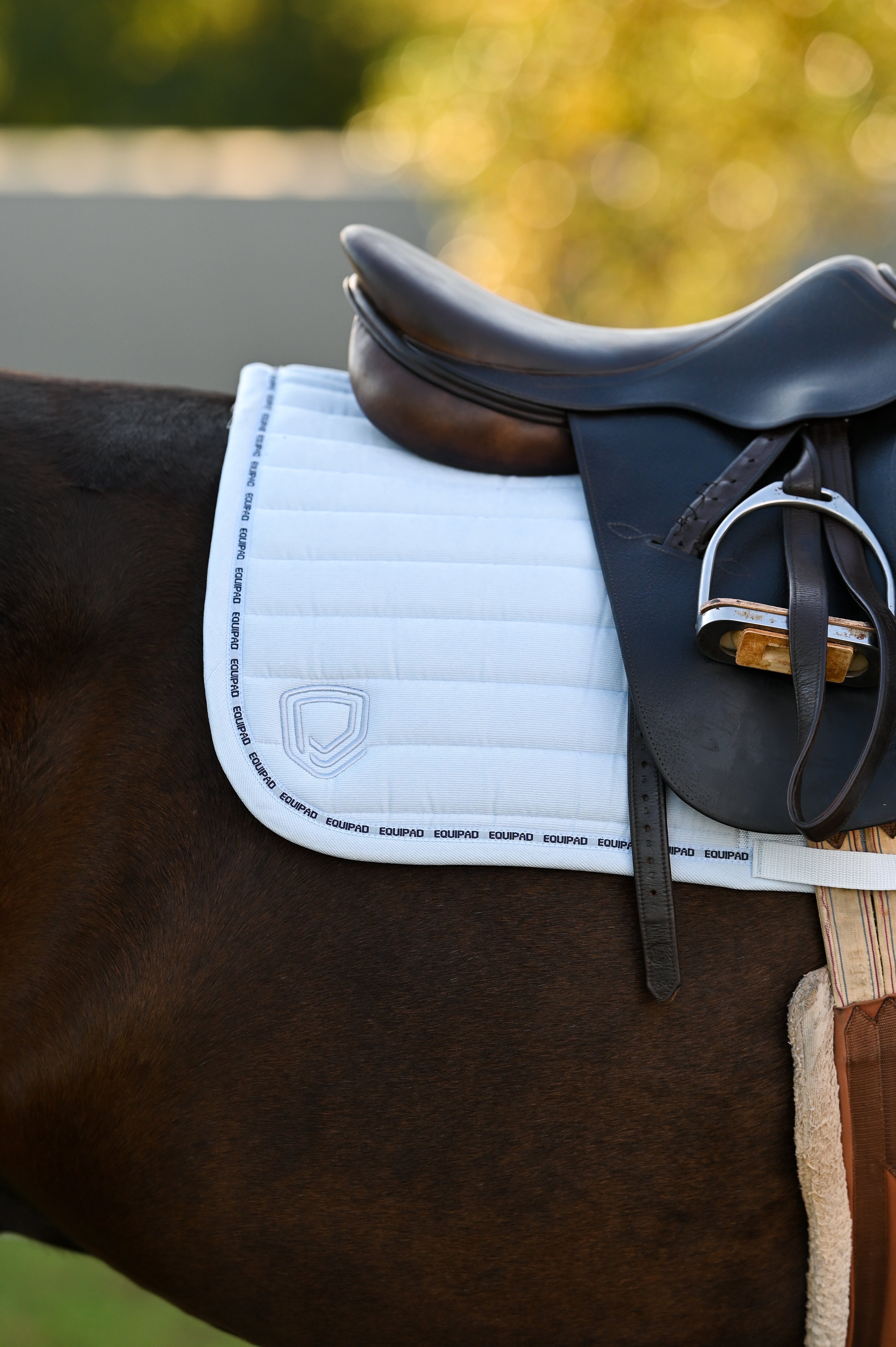 Corduroy Jumping / AP Saddle Pad - Baby Blue