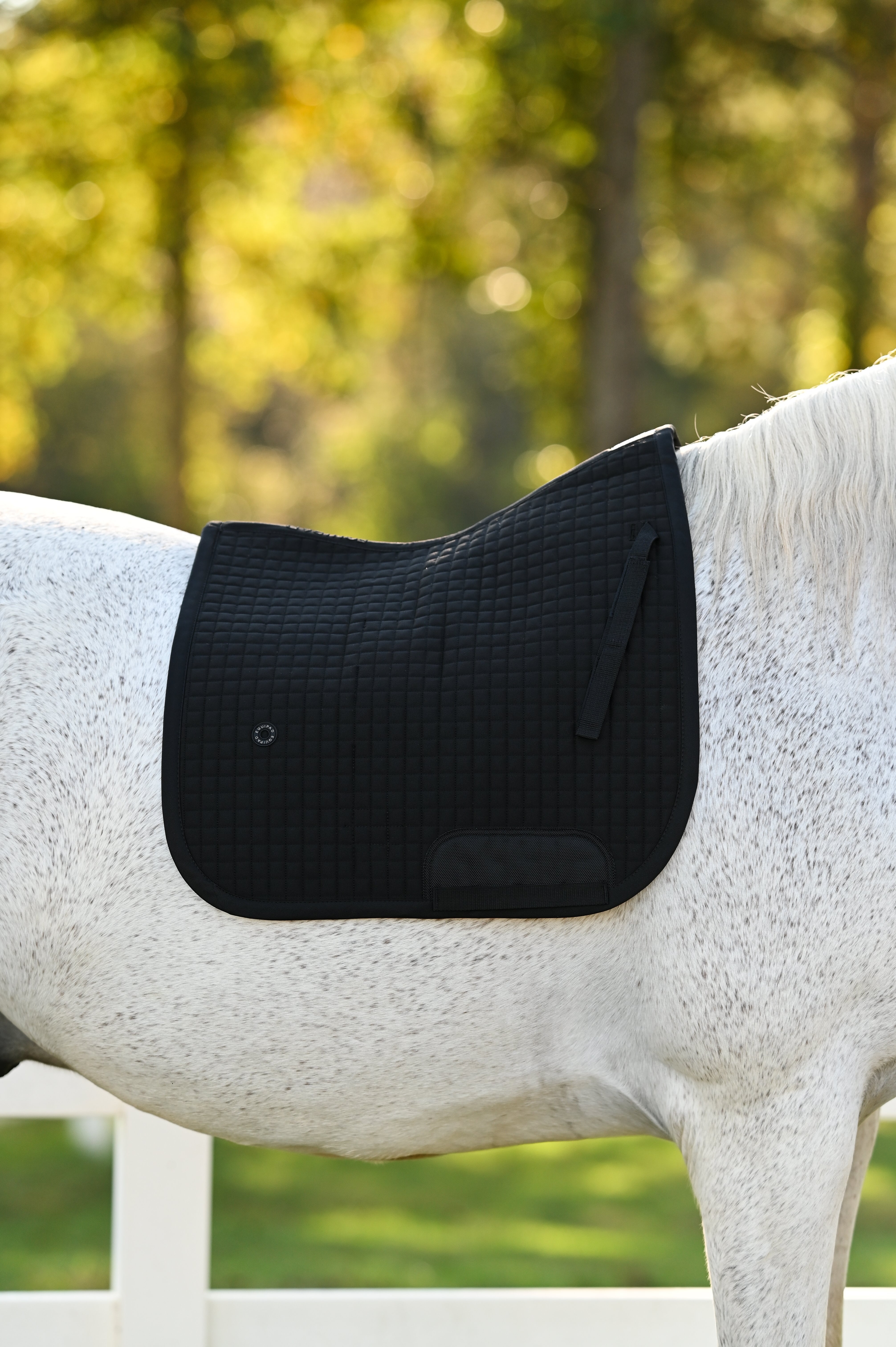 Core Black Saddle Pad Black - Dressage