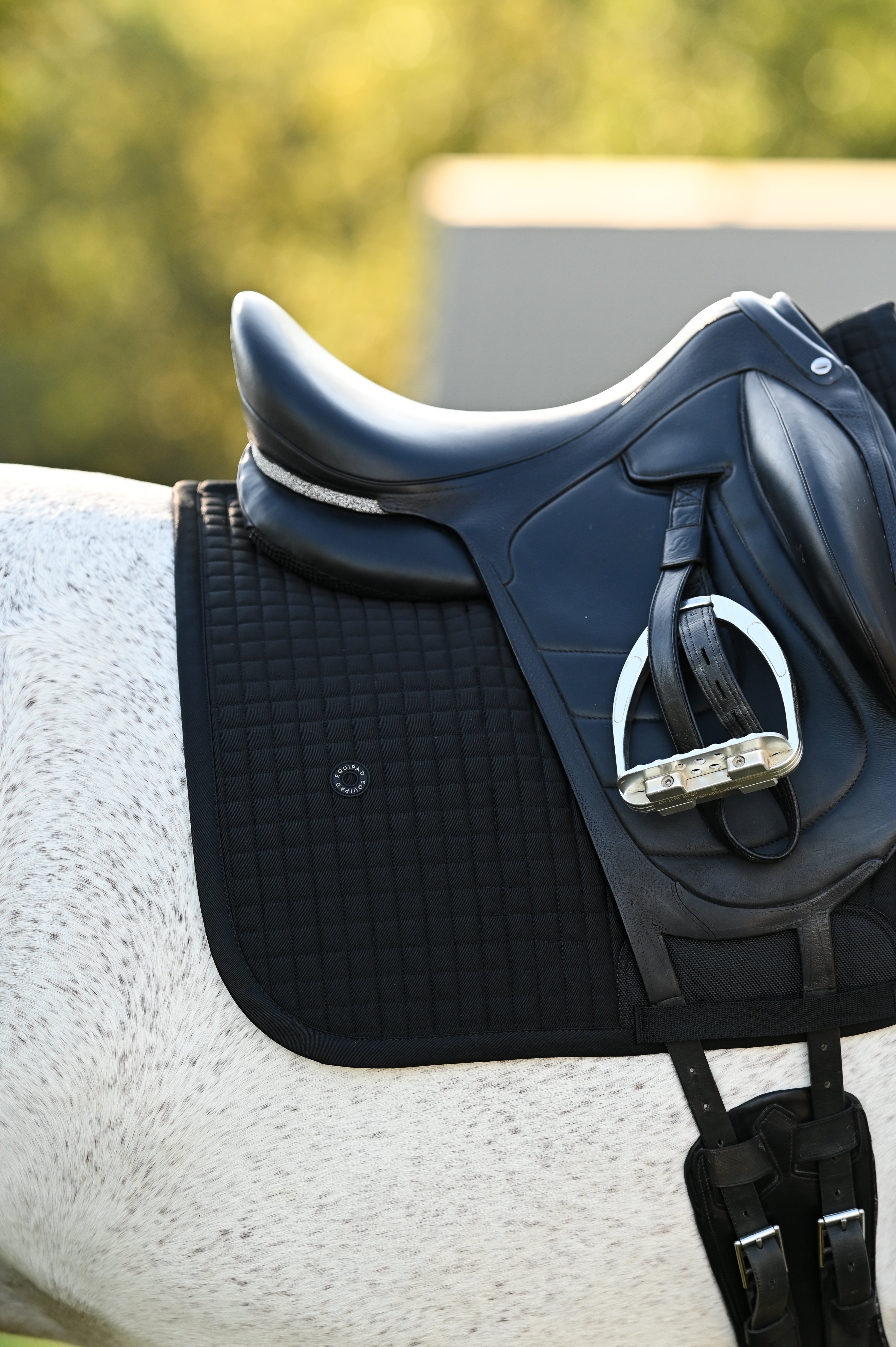 Core Black Saddle Pad Black - Dressage