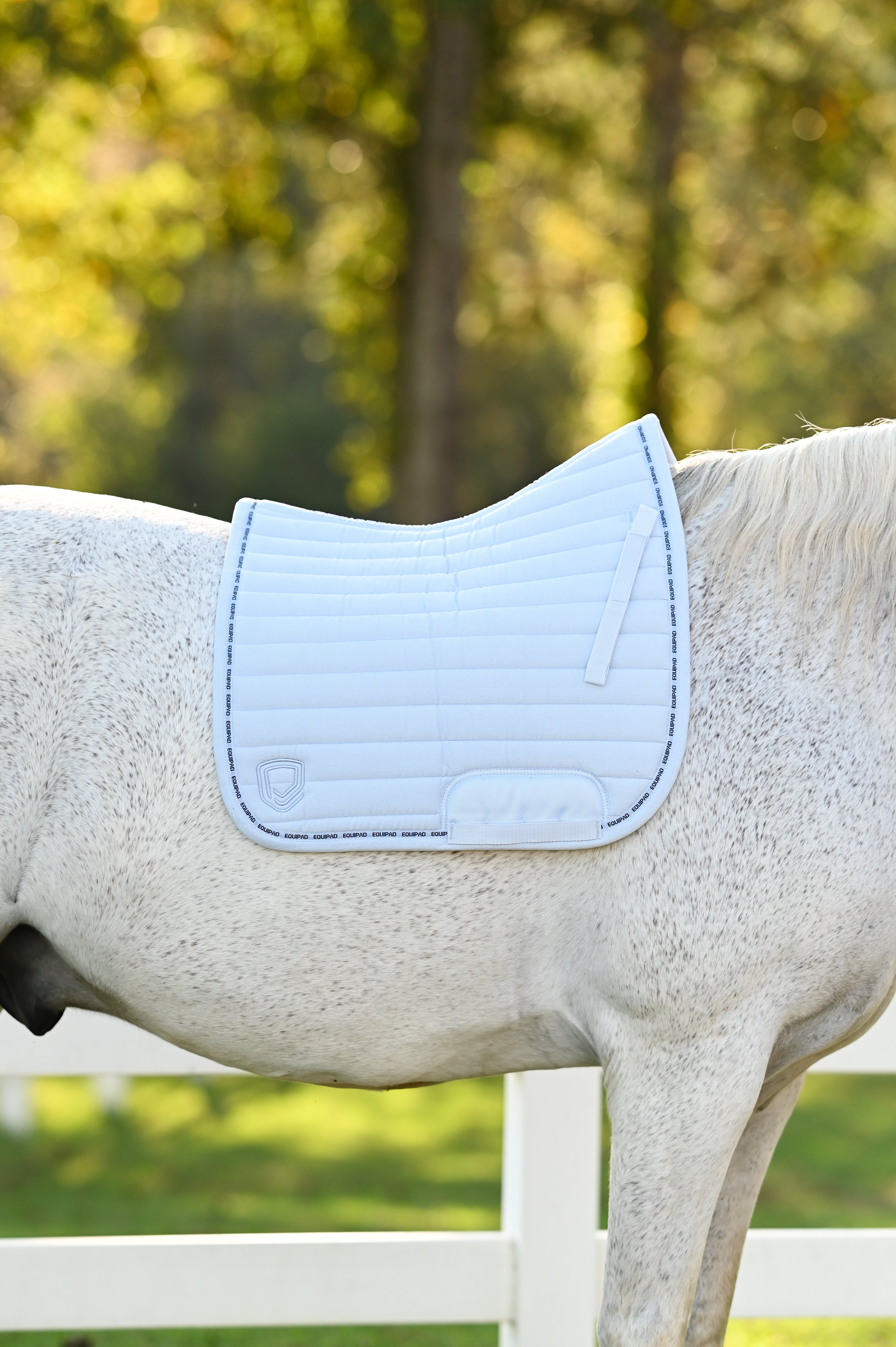 Corduroy Dressage Saddle Pad - Baby Blue