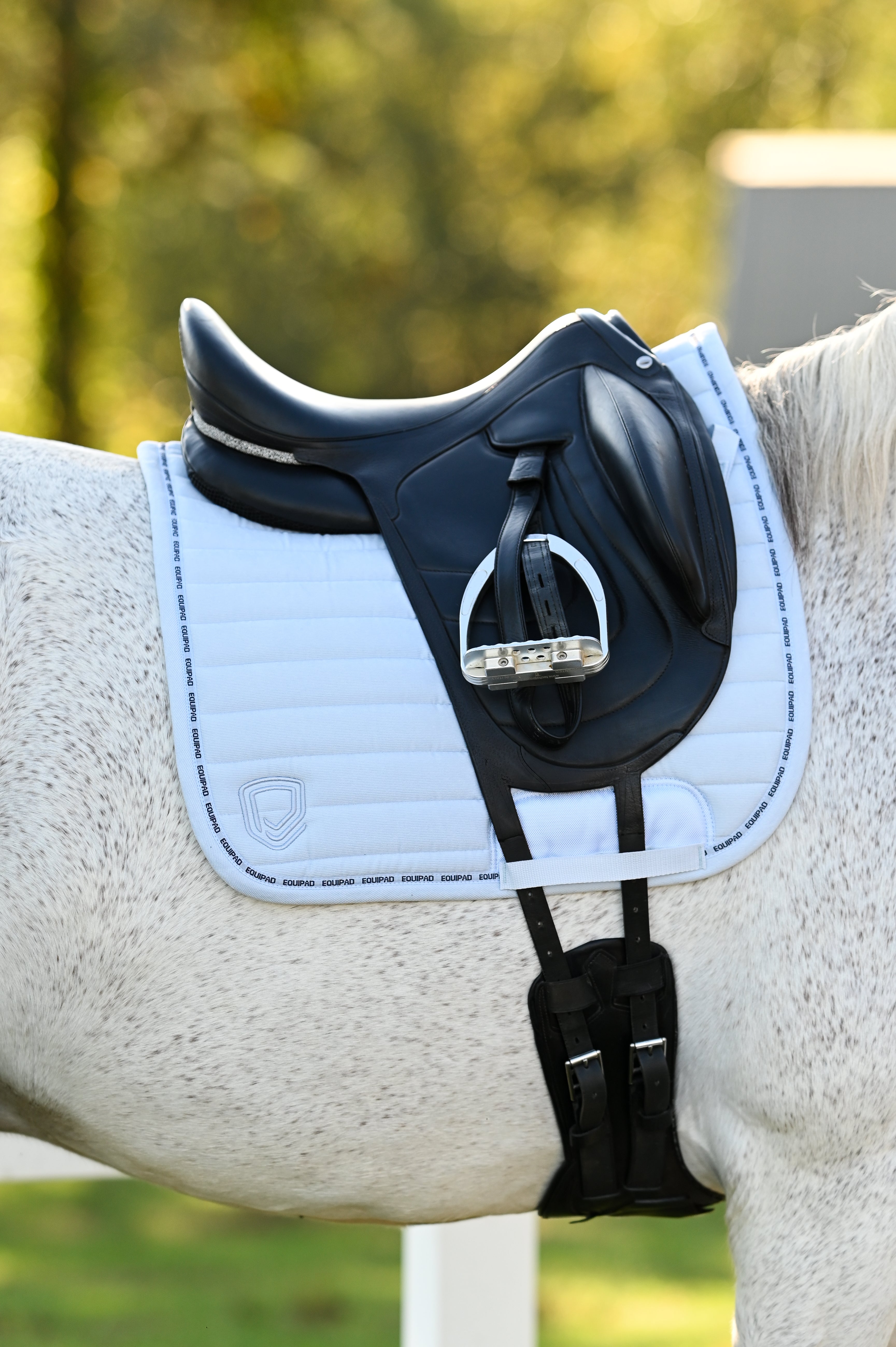 Corduroy Dressage Saddle Pad - Baby Blue