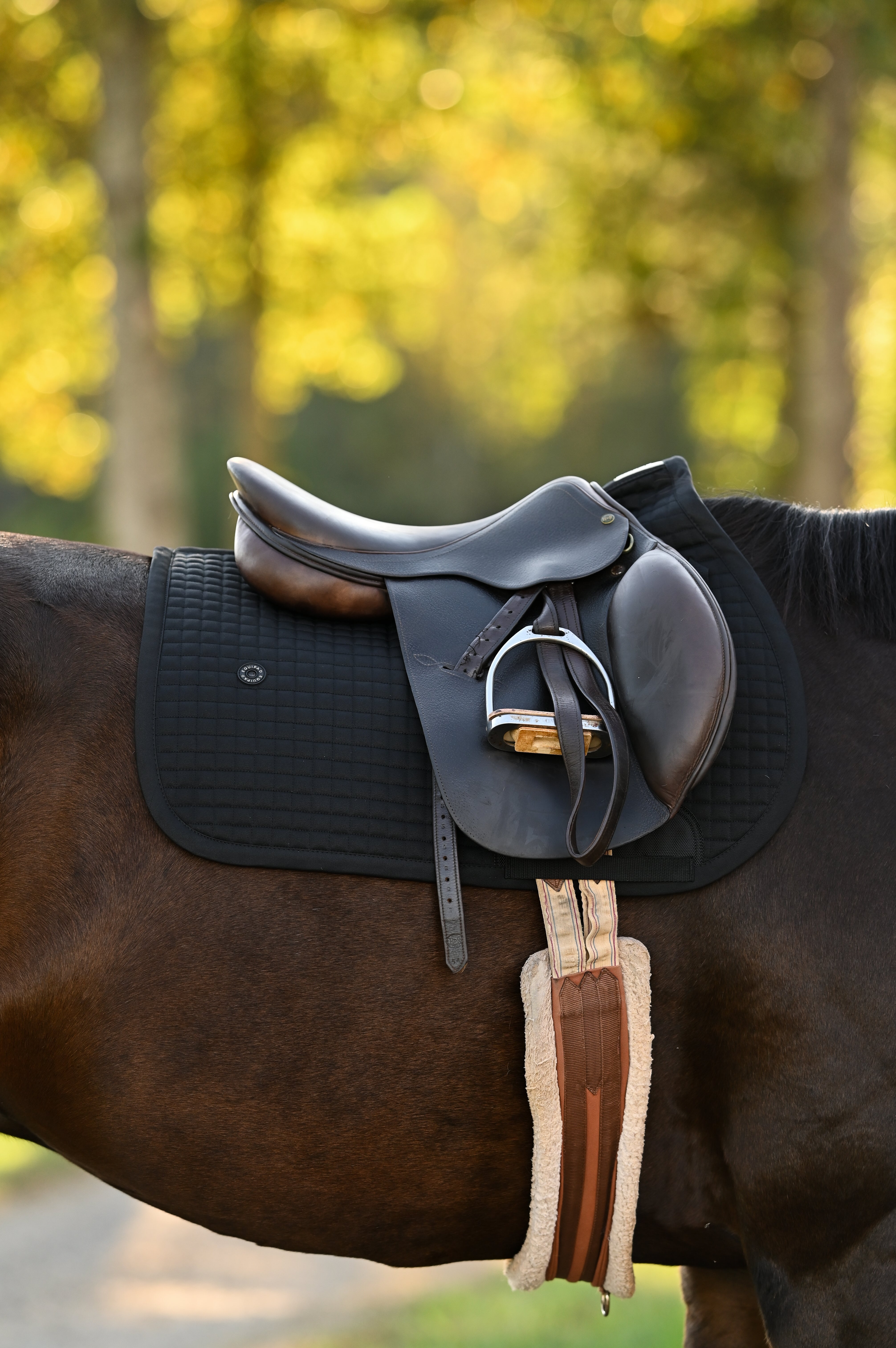 Core Black Saddle Pad Black -  Jumping / AP