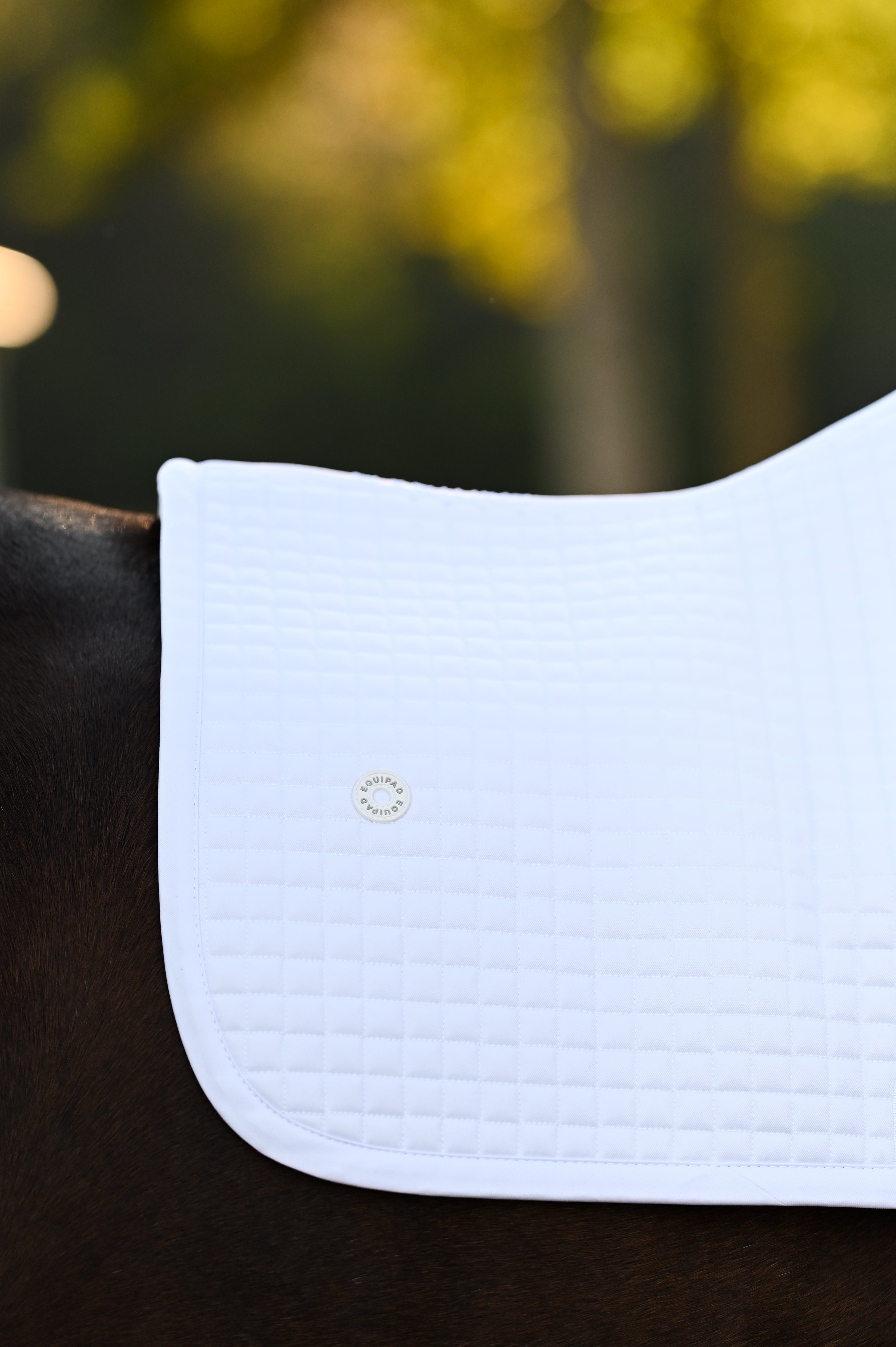 Core White Saddle Pad -  Jumping / AP