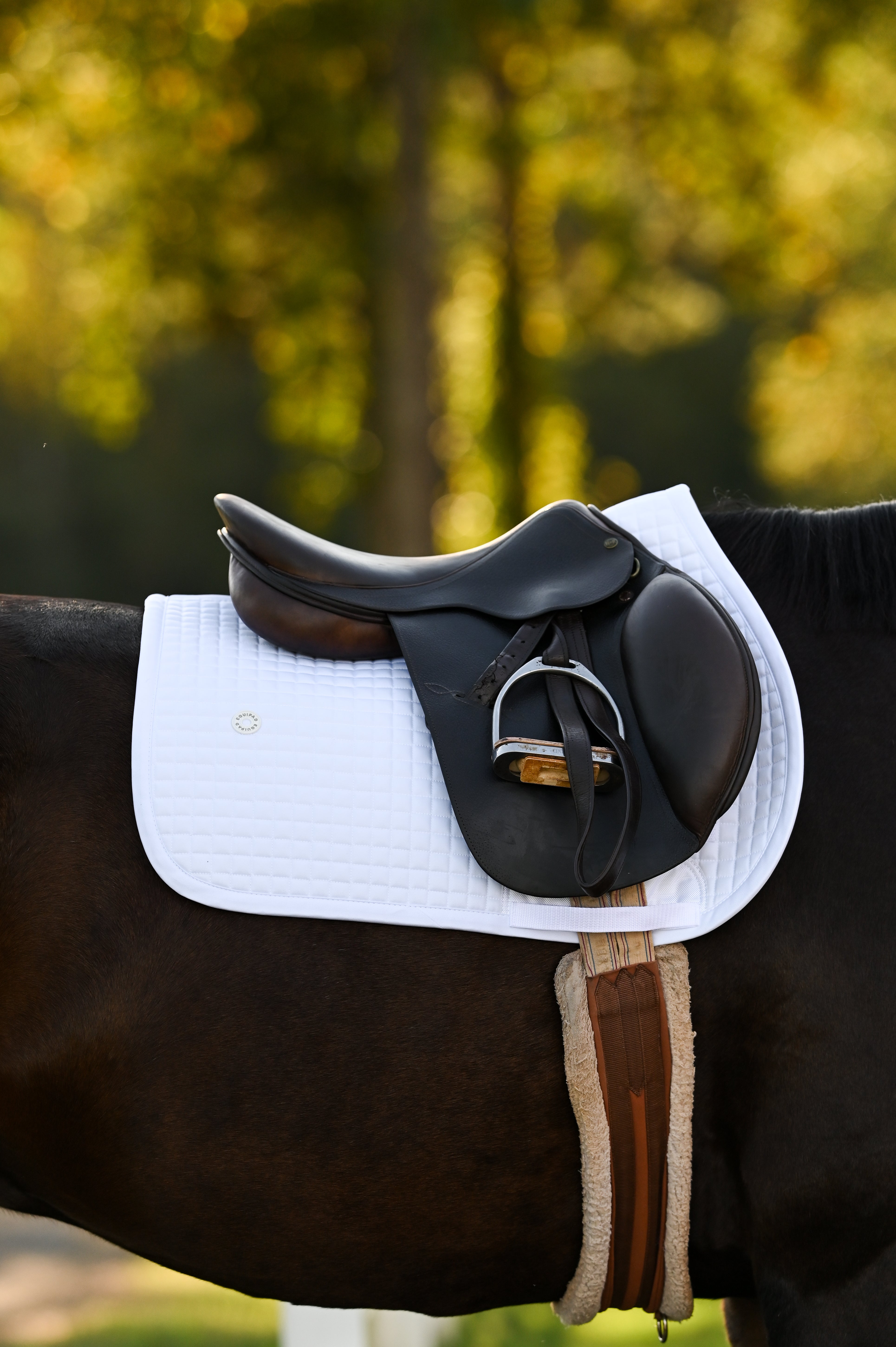 Core White Saddle Pad -  Jumping / AP