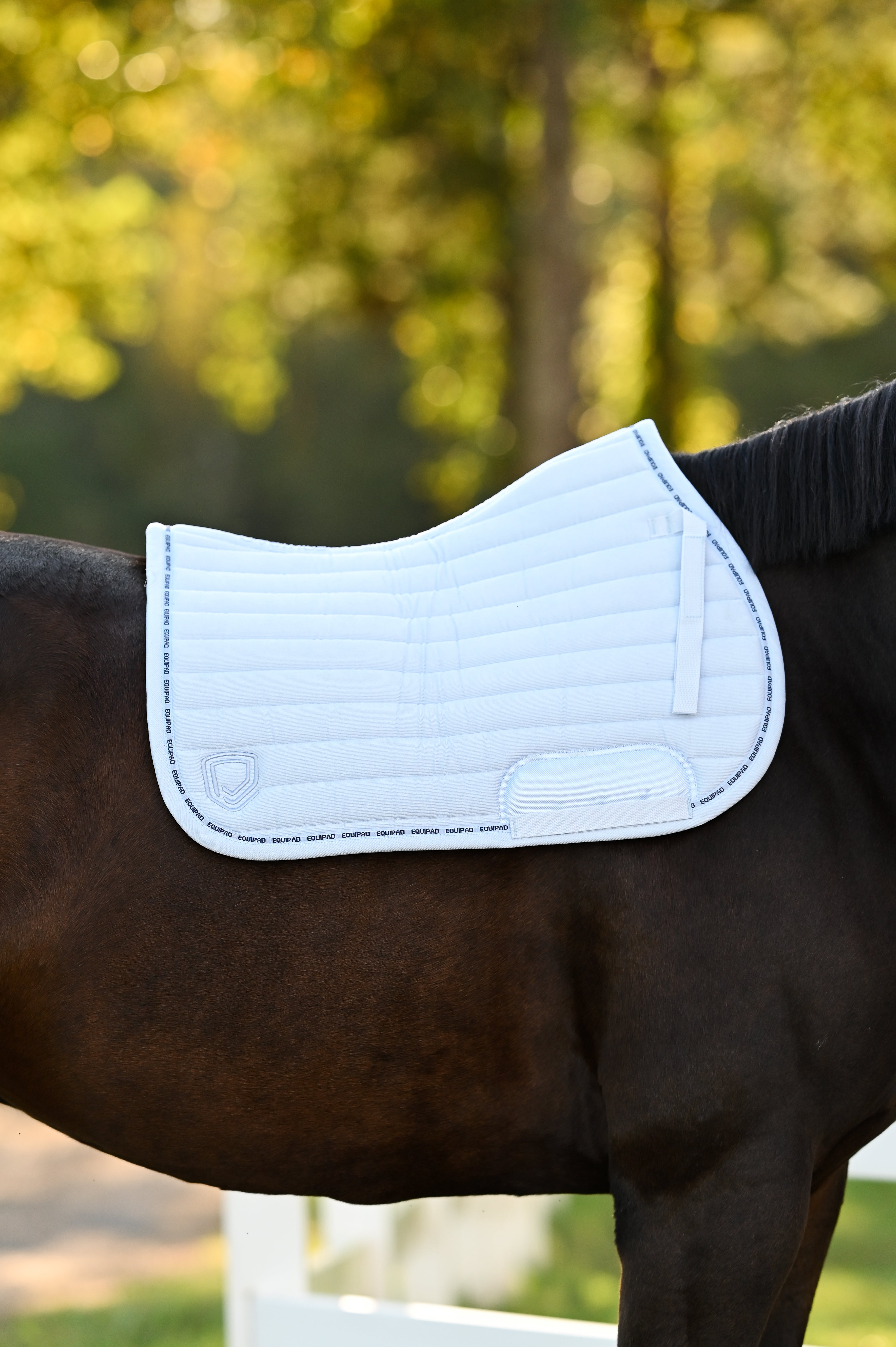 Corduroy Jumping / AP Saddle Pad - Baby Blue