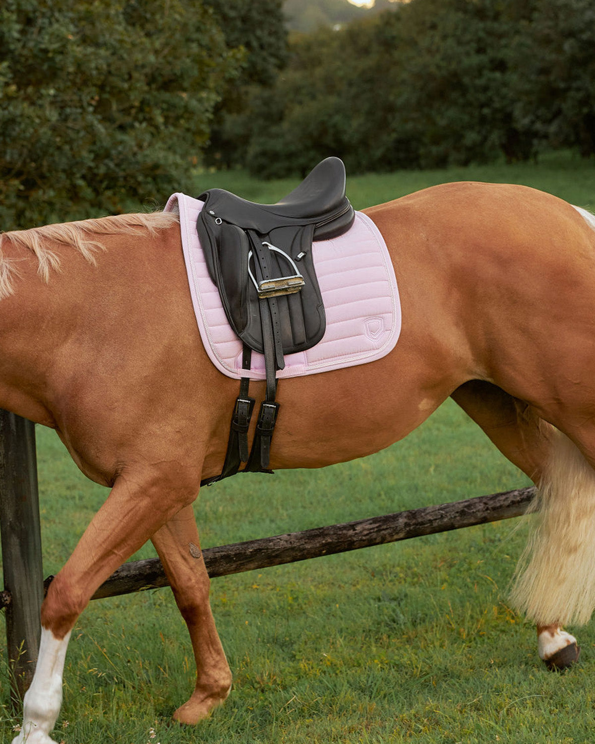 Rubie Pink Corduroy Saddle Pad - Dressage