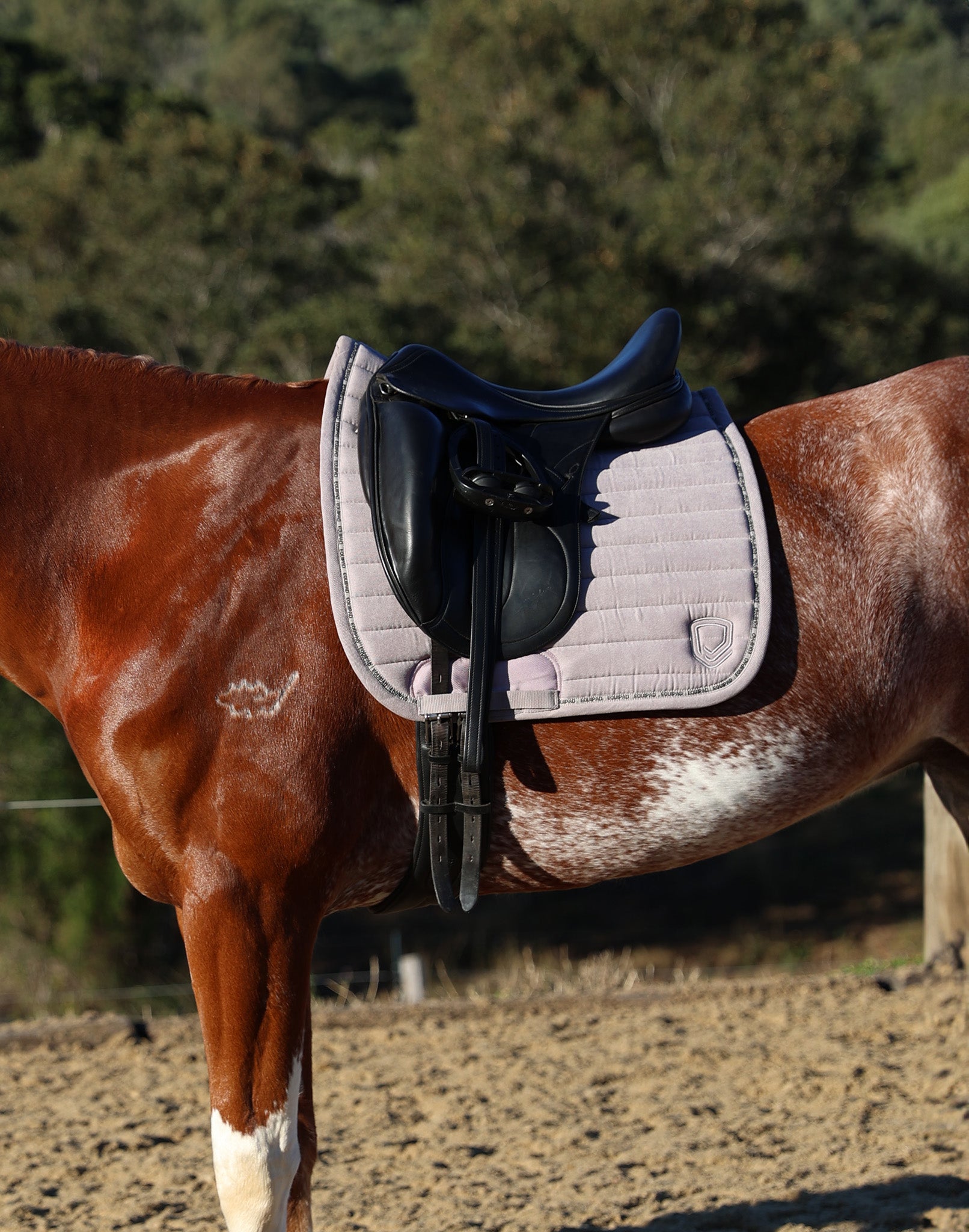 Corduroy Dressage Saddle Pad - Taupe Light Grey