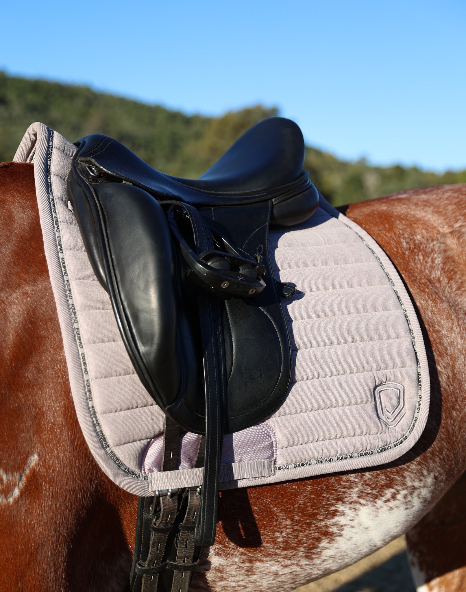 Taupe Light Grey Bundle (Top & Saddle Pad)